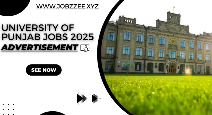 University of Punjab Jobs 2025 - PU Apply Online Advertisement