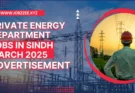 Private Energy Department Jobs in Sindh March 2025 Advertisement