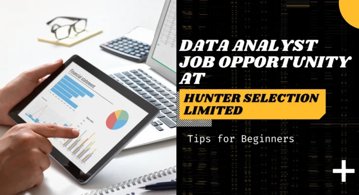 Data Analyst Job Opportunity at Hunter Selection Limited Company - Apply Now